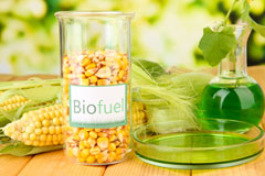 Stepps biofuel availability